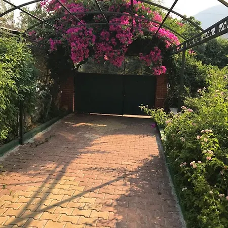 Sengul Villa