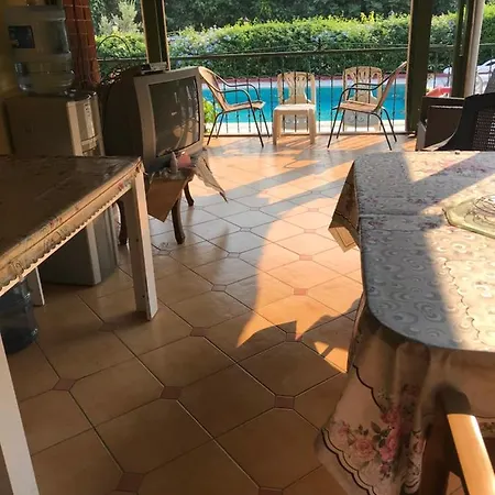 Gazde/Camere de închiriat Sengul Villa