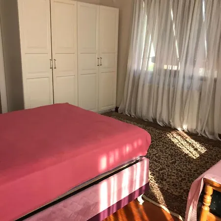 Gazde/Camere de închiriat Sengul Villa